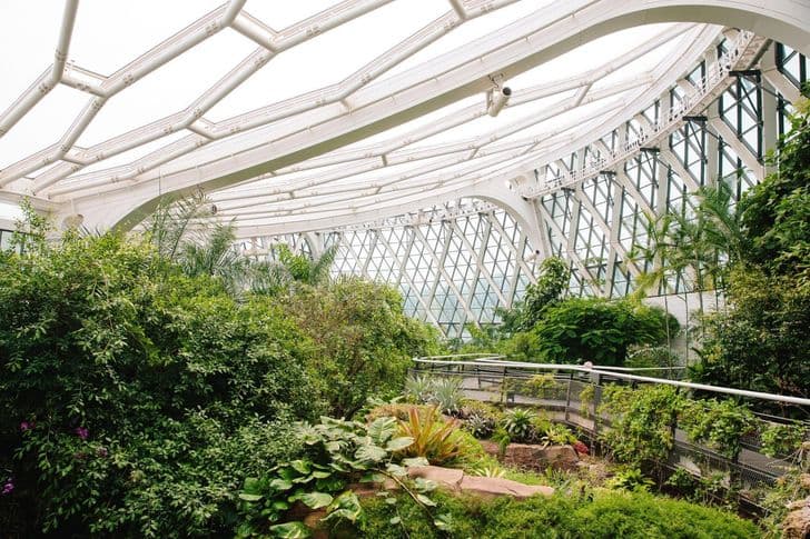 Lush greenery fills the interior of a glass-roofed conservatory at Seoul Botanic Park.